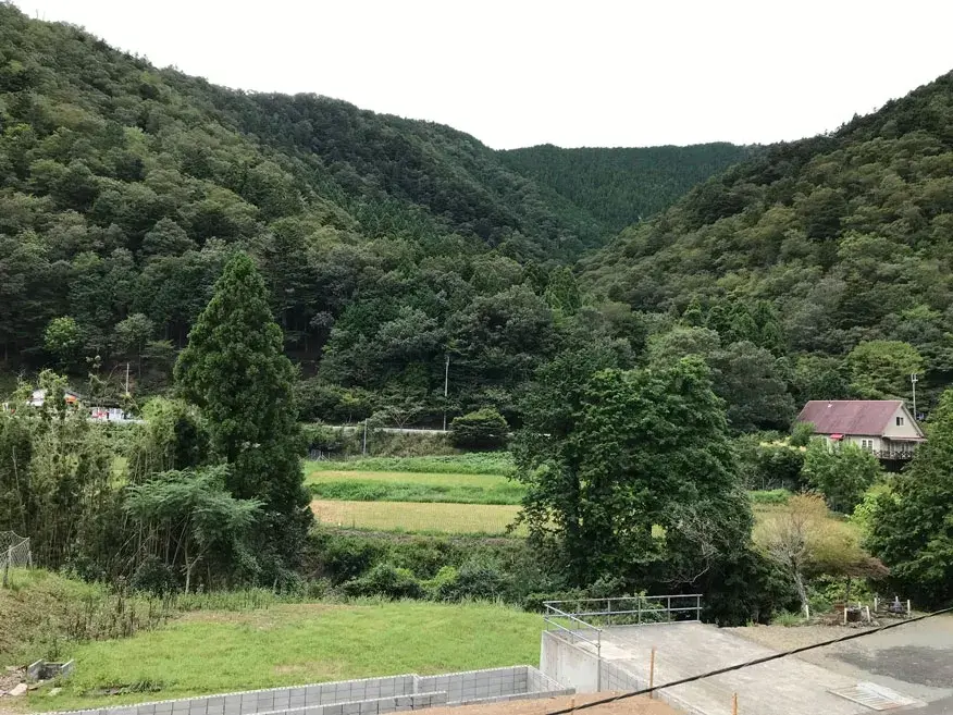 Slide 24