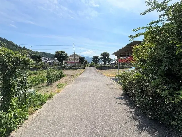Slide 4