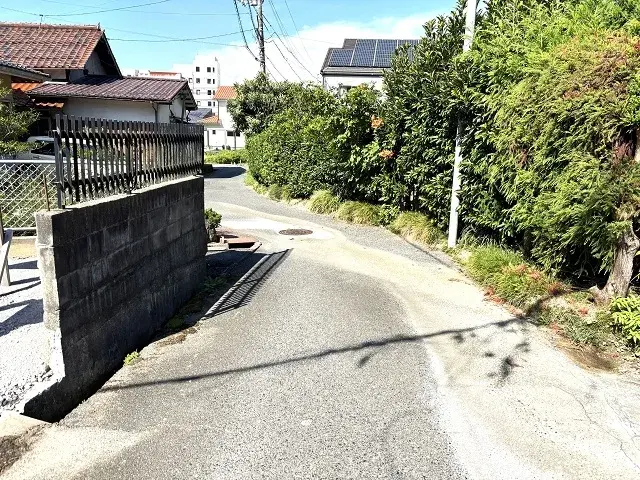 Slide 6