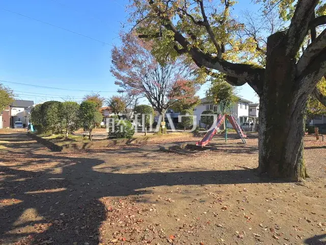 Slide 8