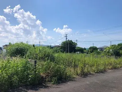 Slide 0