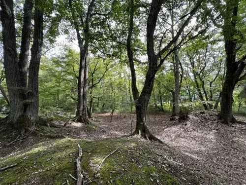 Slide 6