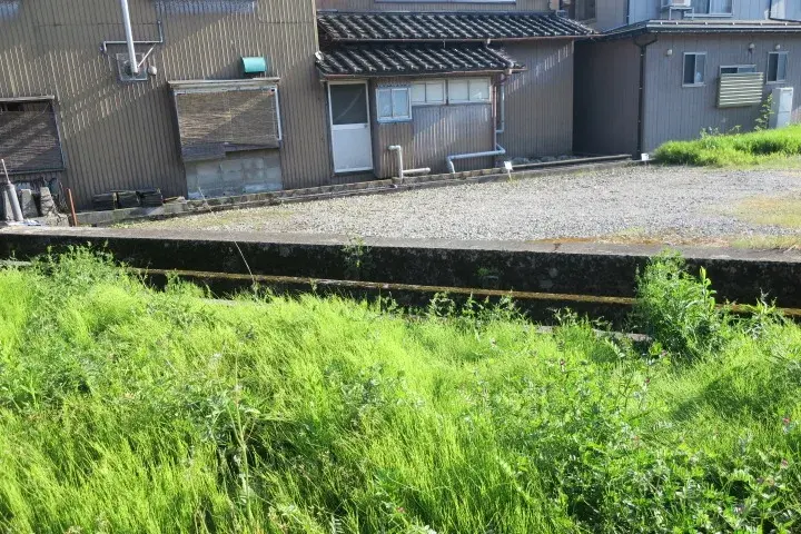 Slide 1