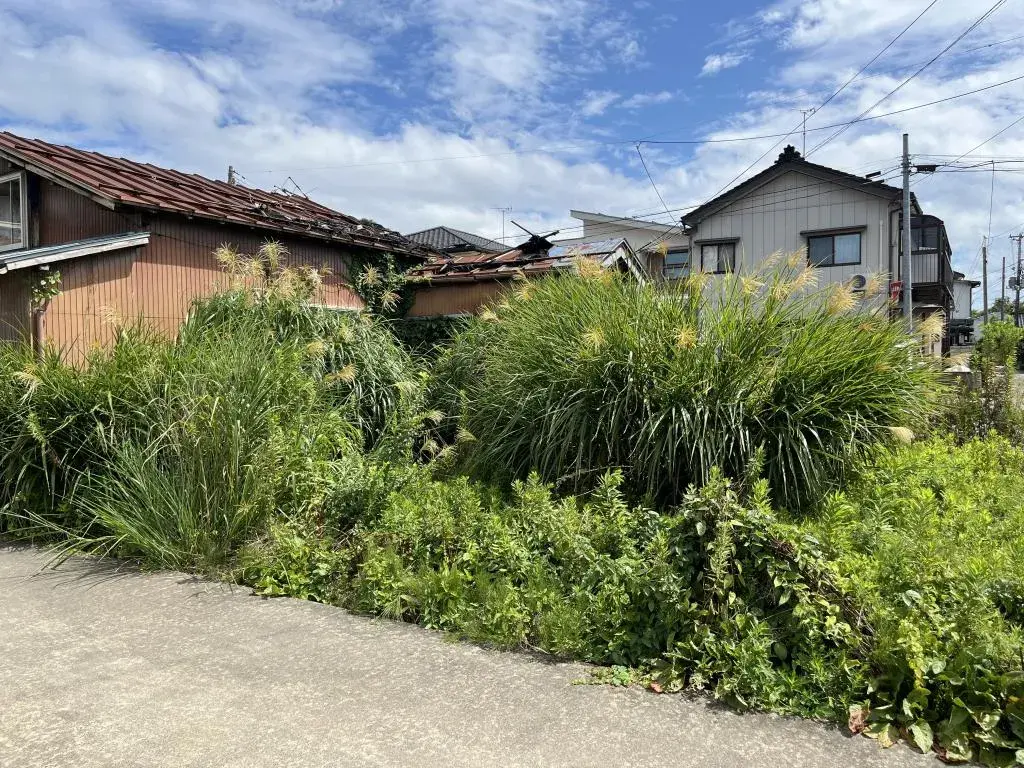 Slide 4