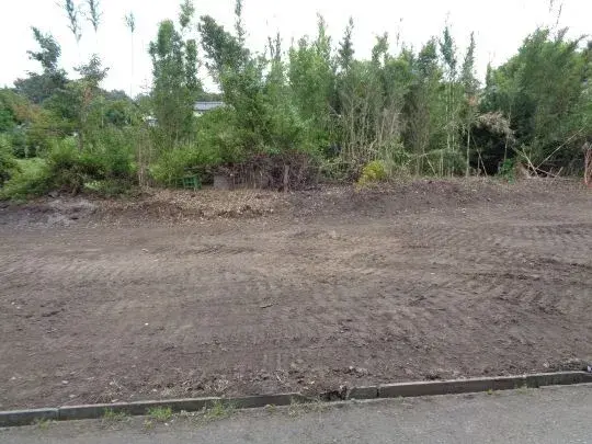 Slide 6