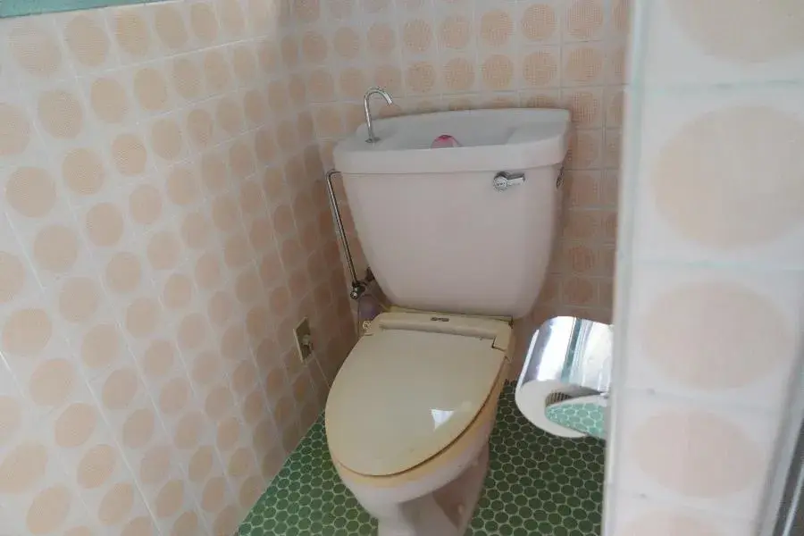 Slide 5