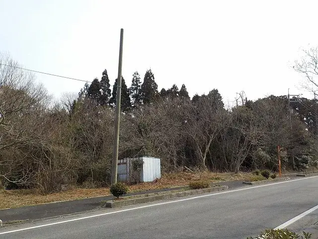 Slide 0