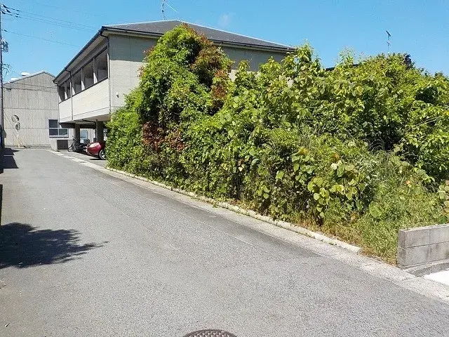 Slide 0