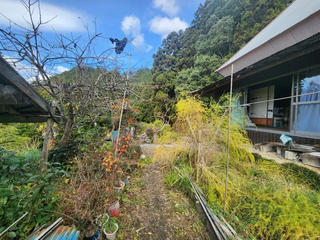 Slide 4