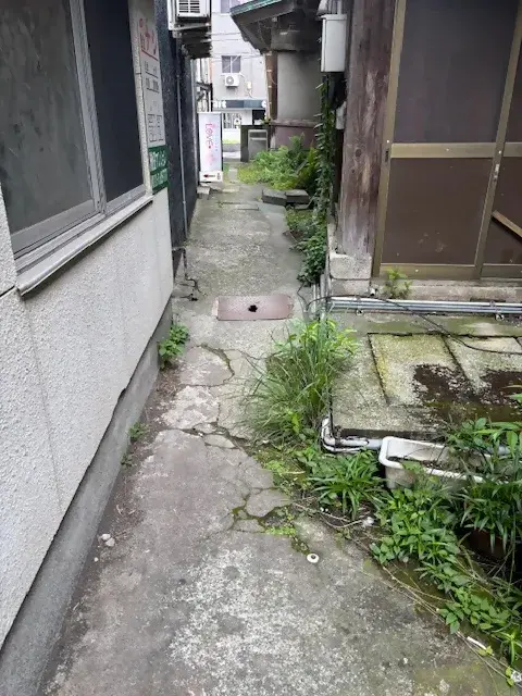 Slide 2