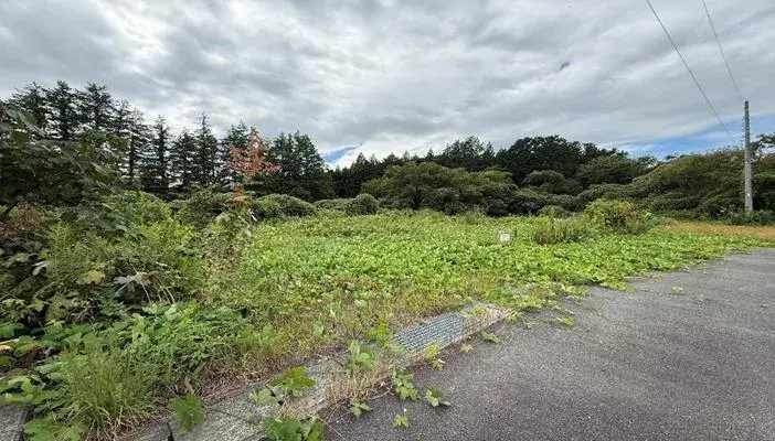 Slide 0
