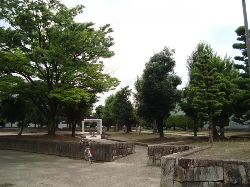 Slide 17