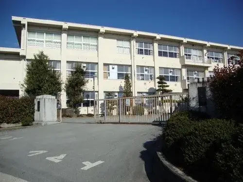 Slide 11