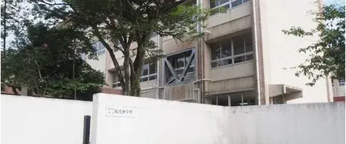 Slide 8