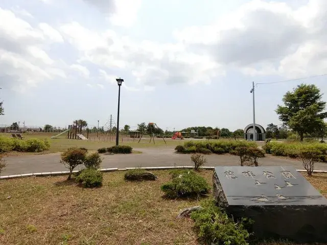 Slide 9