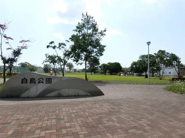 Slide 6