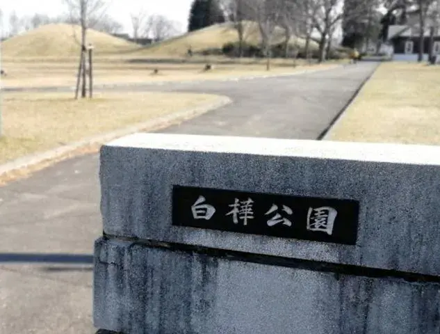 Slide 3