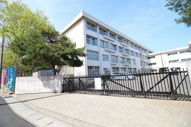 Slide 17