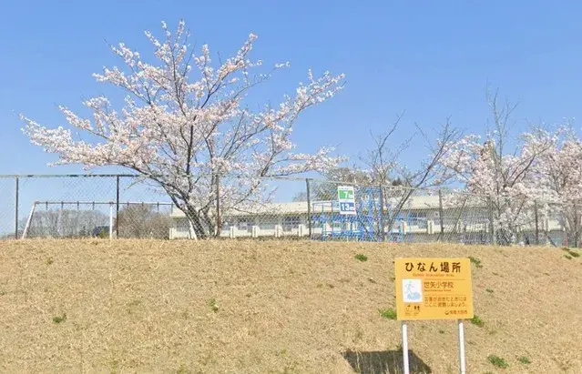 Slide 1