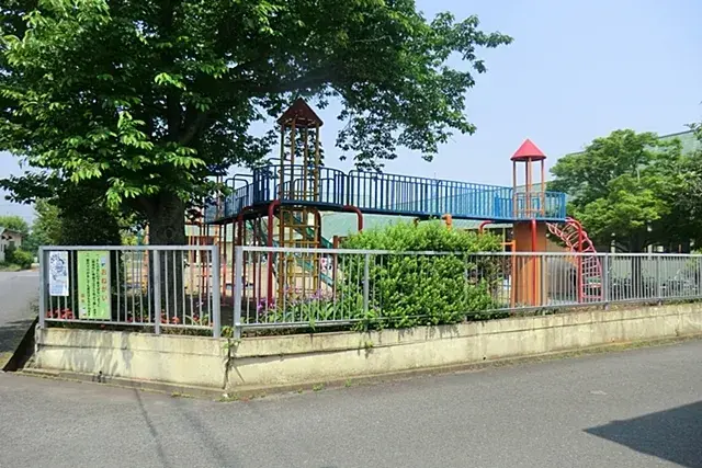 Slide 6