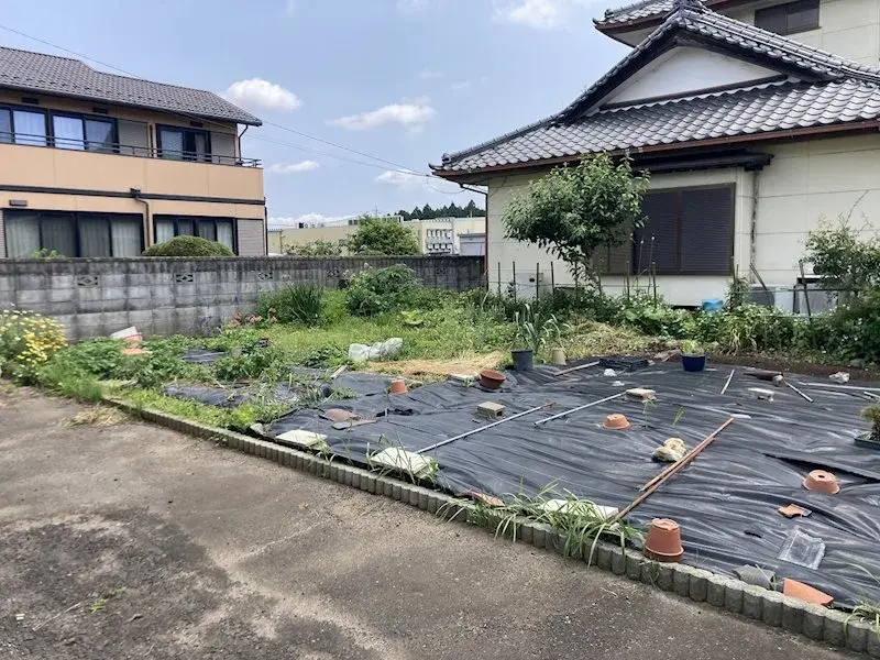 Slide 5