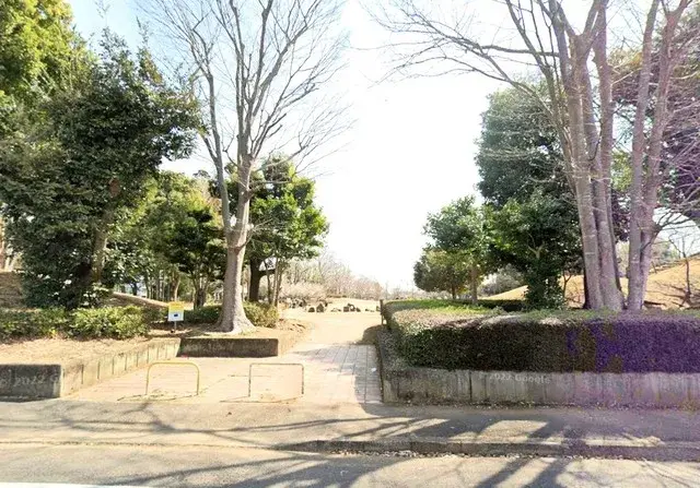 Slide 5