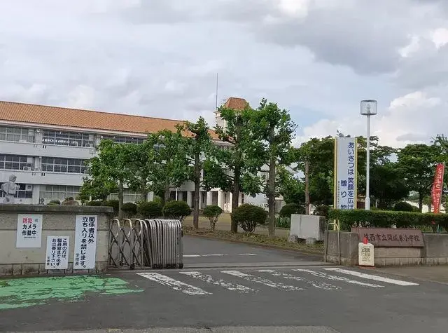 Slide 17