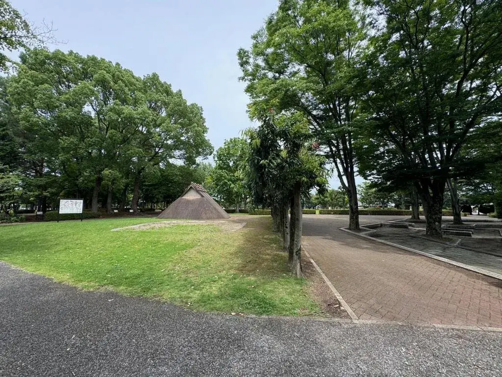 Slide 19