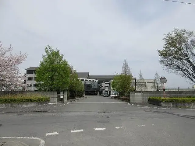 Slide 3