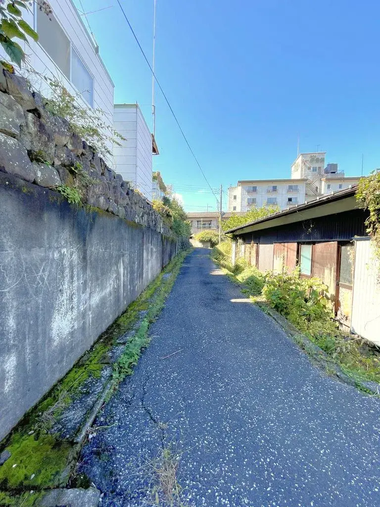 Slide 8