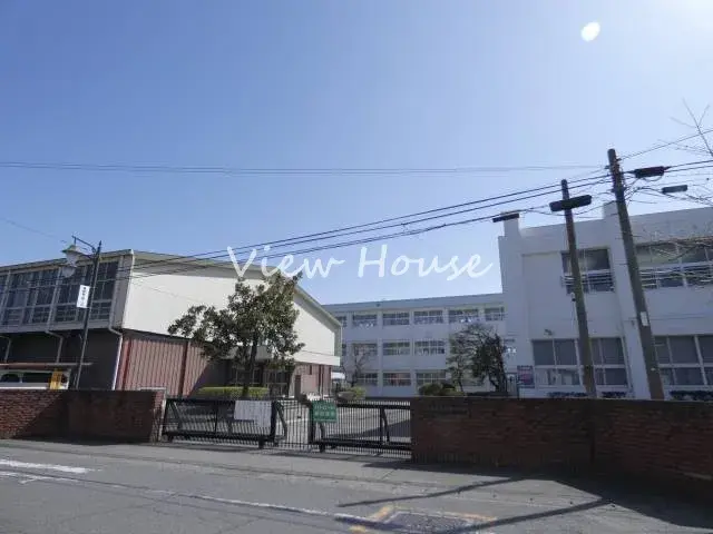 Slide 3