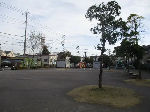 Slide 11