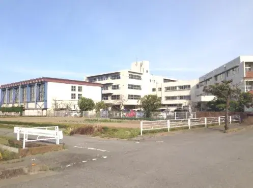 Slide 6