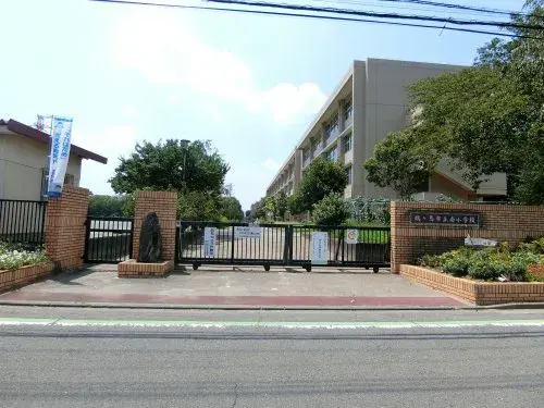 Slide 6
