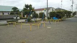 Slide 5