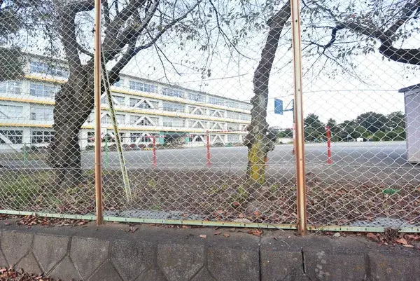 Slide 3