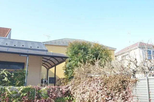 Slide 3