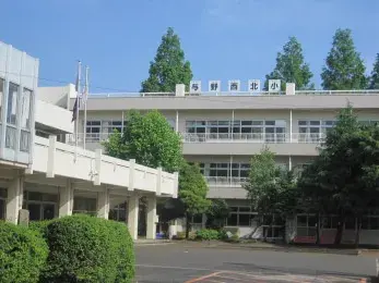 Slide 8