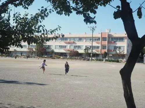Slide 8