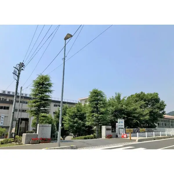 Slide 6