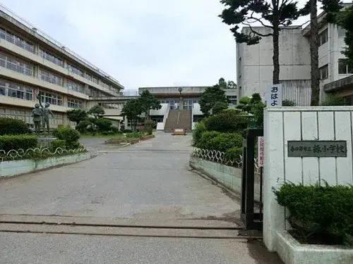 Slide 5
