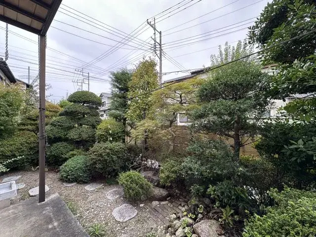 Slide 6
