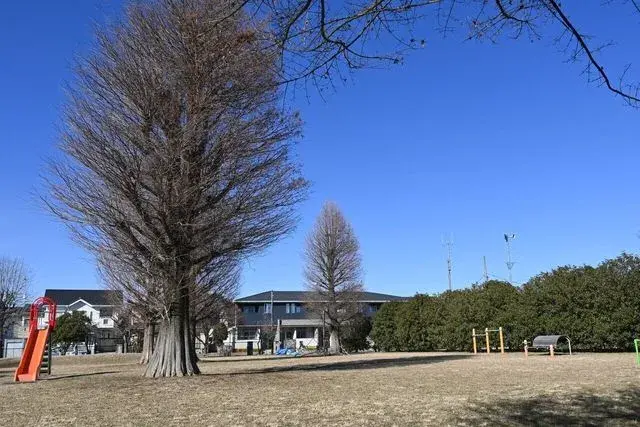Slide 6