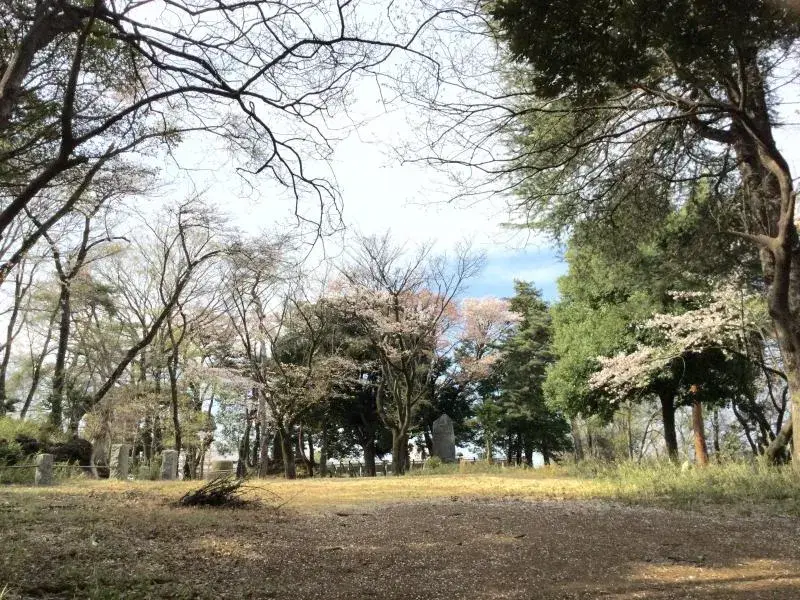 Slide 17