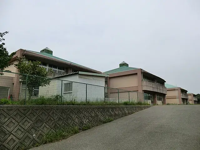 Slide 5