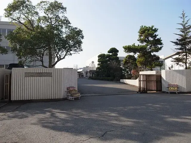 Slide 24