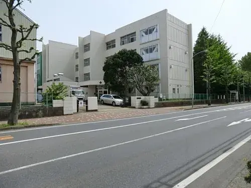 Slide 8