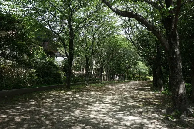 Slide 15