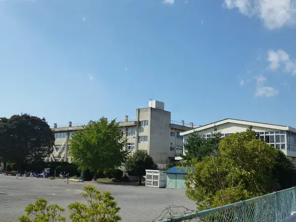 Slide 6