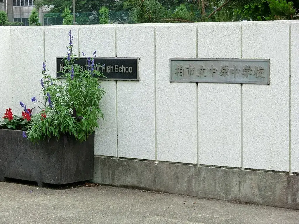 Slide 3